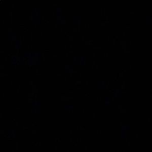 Meet your Posher, Kaydance